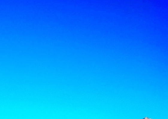 惠州粉象生活合伙人