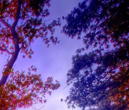 福建南平适合生活吗