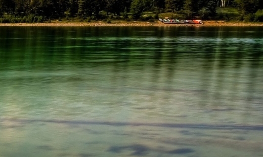 粉象生活app最新版