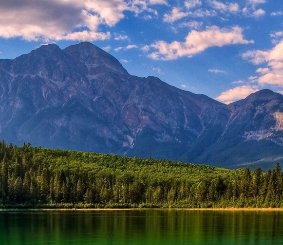 抖音上的粉象生活是真的吗