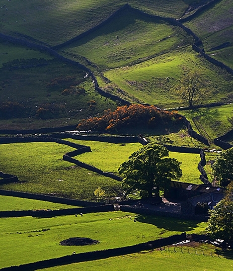 粉象生活怎么取消自动分享