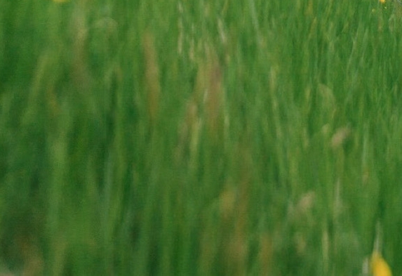 粉象生活商家版怎么下载