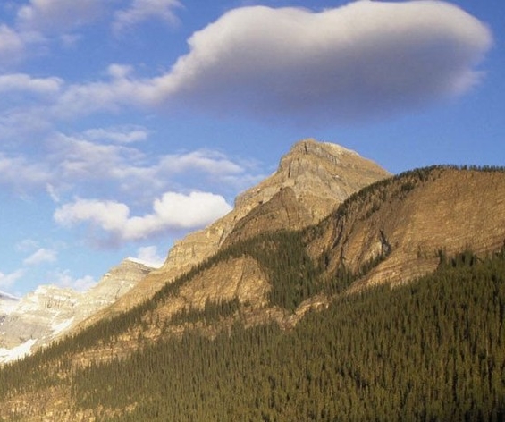 粉象生活在快手上可以引流吗