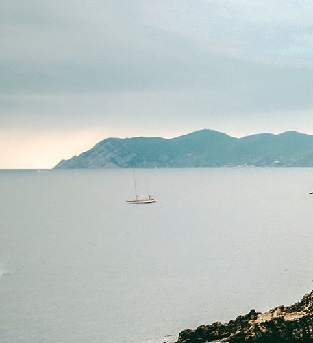 粉象生活开店用什么