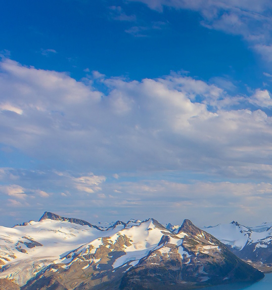 粉象生活下载app