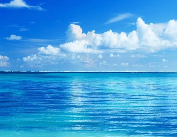 粉象生活的会员怎么领