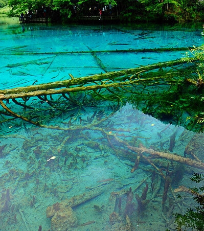 粉象生活如何领取流量