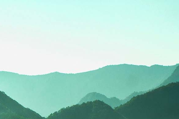 东莞粉象生活可信吗