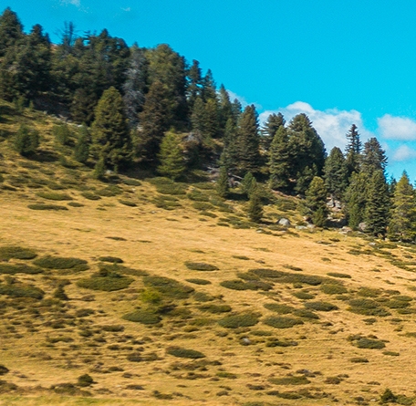 粉象生活邀请码