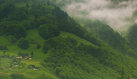 粉象生活新人注册入口