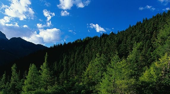 怎样做好生活垃圾分类