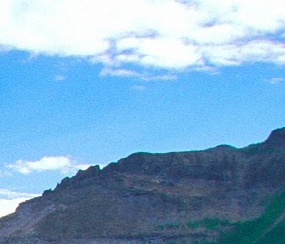粉象生活客户端