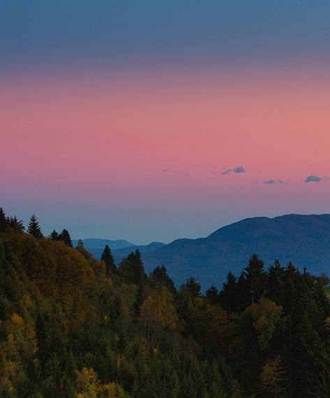 粉象生活新手怎么做