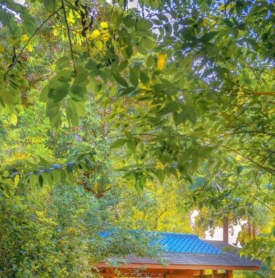 粉象生活如何佣金