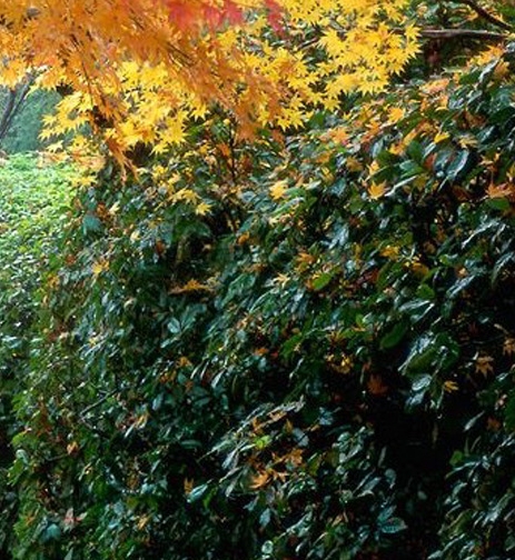 粉象生活下载