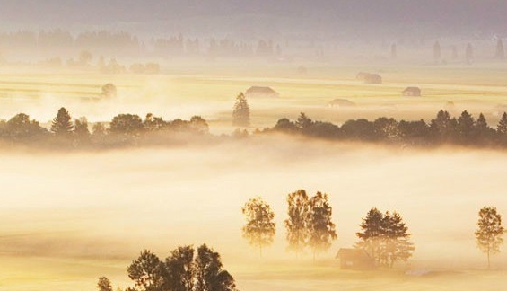 粉象生活佣金利润表
