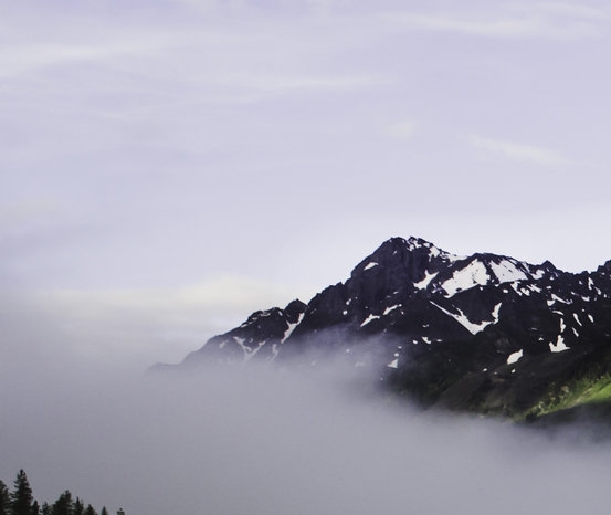 粉象生活邀请码引流