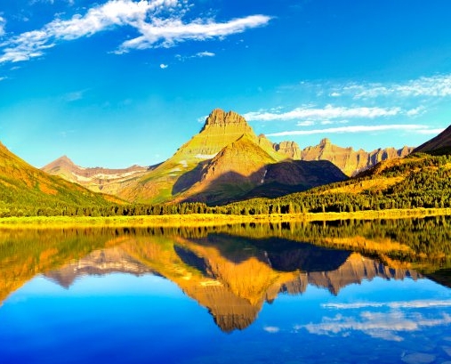 粉象生活提供的服务