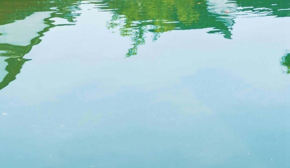 粉象生活和淘宝哪个赚钱