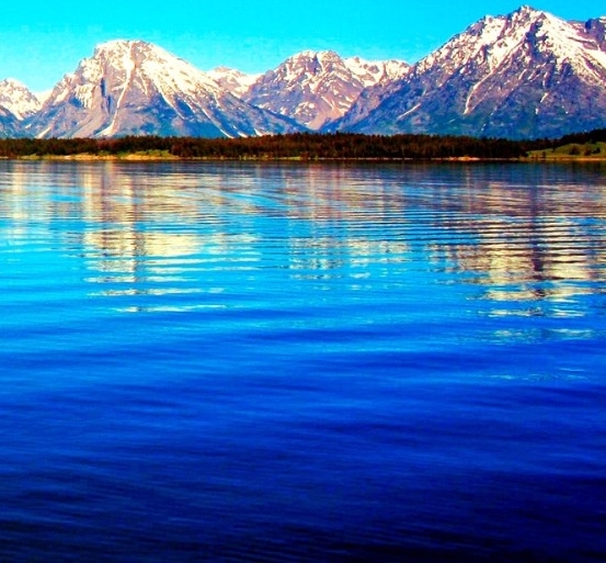 粉象生活app分享报告