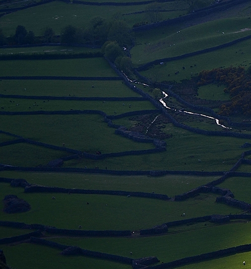 粉象生活和淘宝联盟哪个好