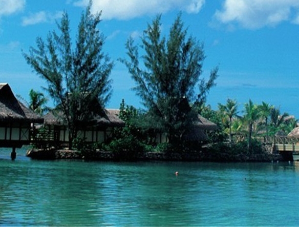 粉象生活分现金图片