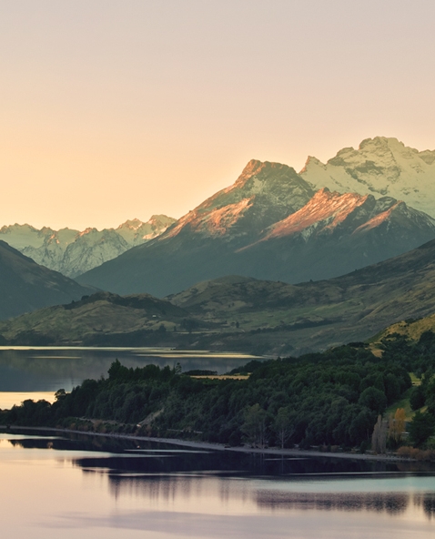 粉象生活商城入口