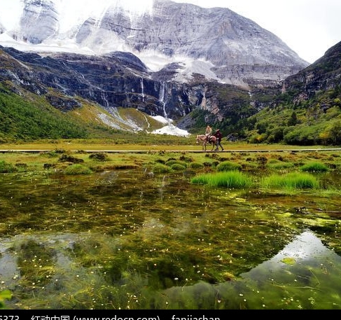 粉象生活下载官方正版
