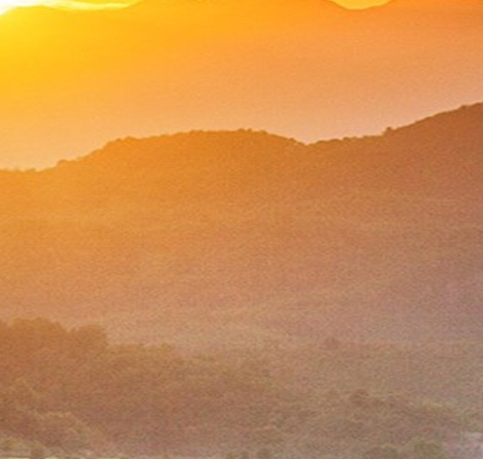 惠州粉象生活收费