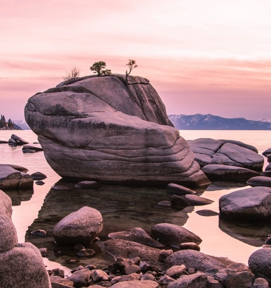 粉象生活下载app