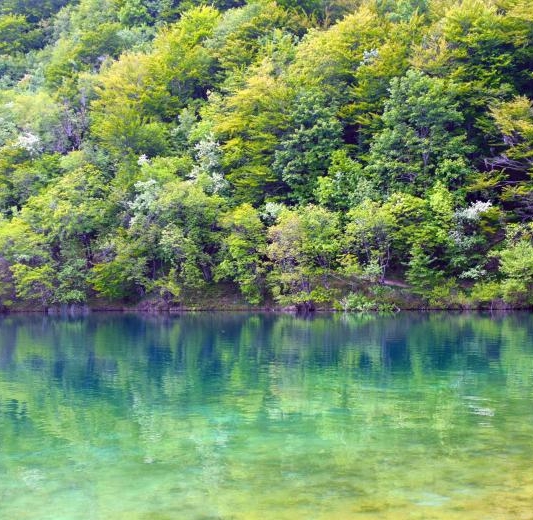 跟粉象生活类似的APP有哪些