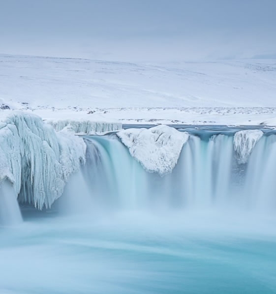 粉象生活下载app