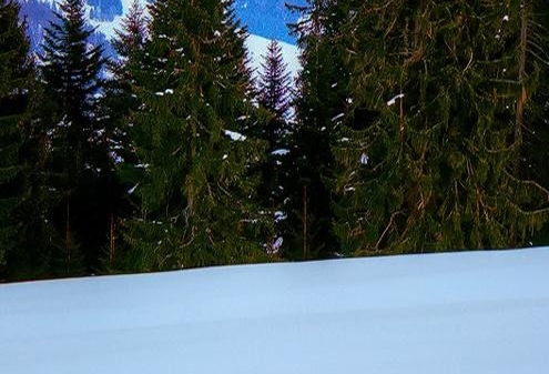 粉象生活怎么转型