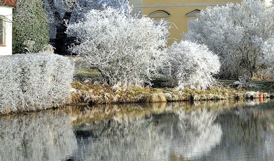 粉象生活下载官方正版