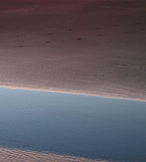 粉象生活可以赚钱吗