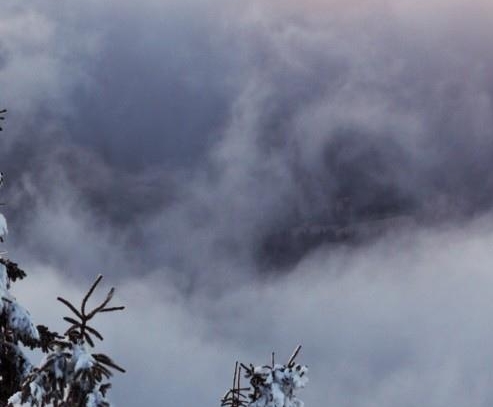 粉象生活分现金签到一天