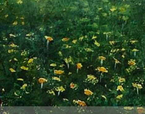 粉象生活为什么要升级vip