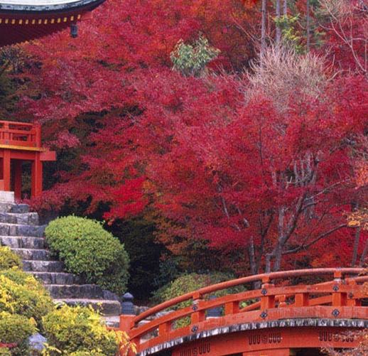 生活超市开店成本