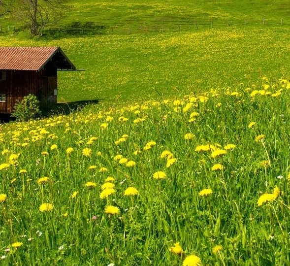 粉象生活每月多少钱