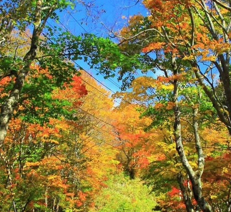 粉象生活怎么用淘宝