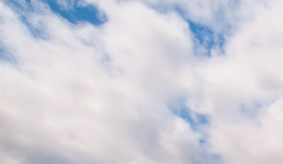 粉象生活下载app