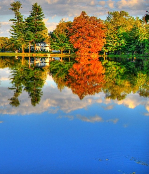 惠州粉象生活怎么样