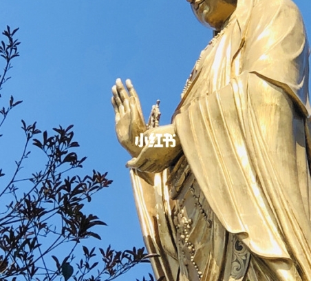 粉象生活邀请码