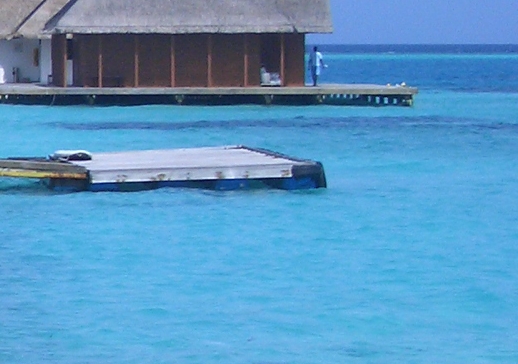 粉象生活下载官方正版