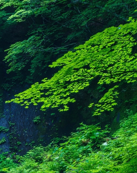 粉象生活是干什么的?怎么赚钱