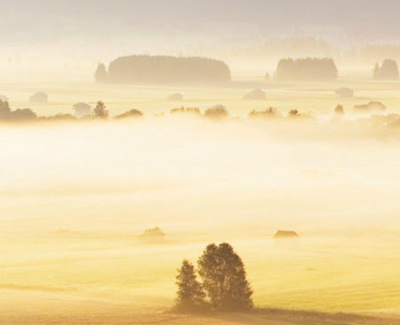 粉象生活平台怎么收费