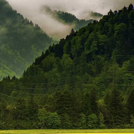 粉象生活怎么快速推广