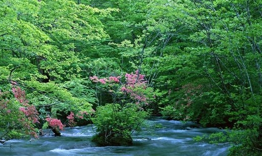 粉象生活有没有工厂模式
