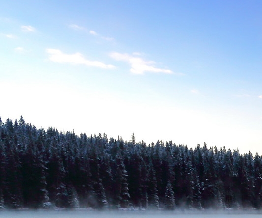 粉象生活下载官方正版