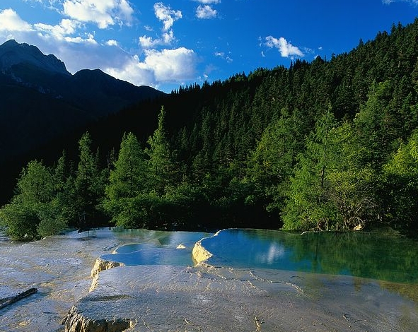 注册粉象生活有风险吗